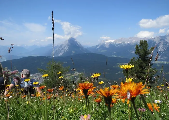 Holiday home Haus Elisengrund Am Geigenbuehel - Prive