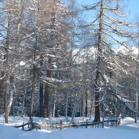 Haus Elisengrund Am Geigenbuehel - Prive *