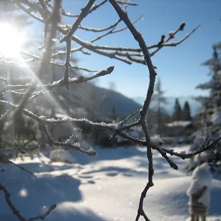 Haus Elisengrund Am Geigenbuehel - Prive 別荘 *
