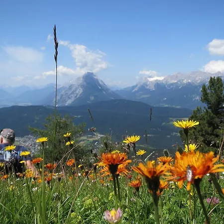 Casa de Férias Haus Elisengrund Am Geigenbuehel - Prive
